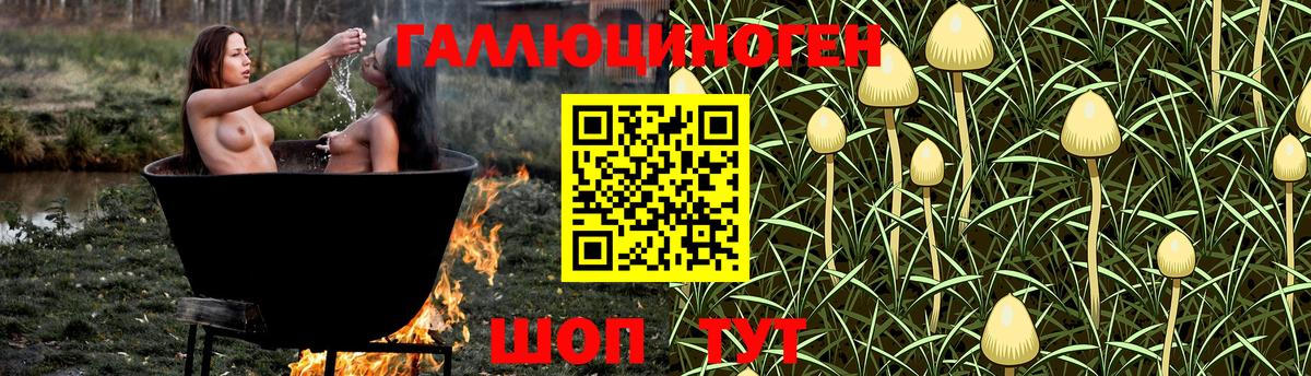Дивногорск  Галлюциногенные грибы прущие грибы  Вход с VPN  Псилоцибиновые грибы прущие грибы 