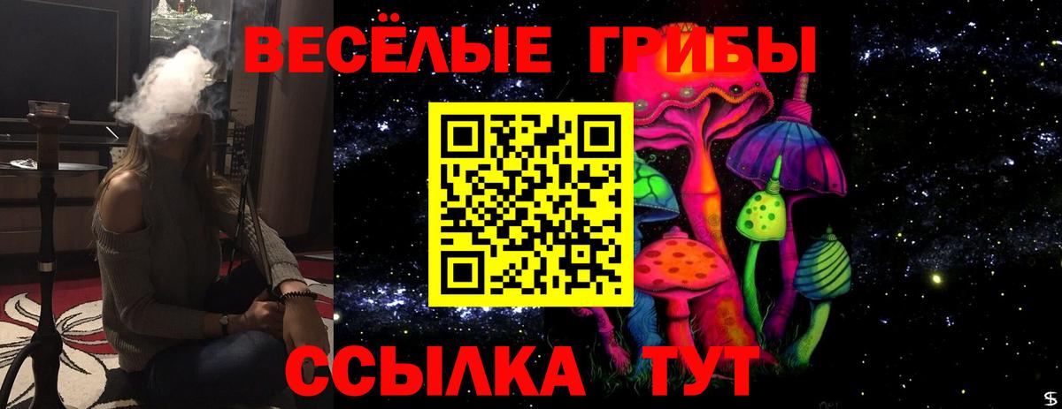 Псилоцибиновые грибы Psilocybine cubensis Дивногорск